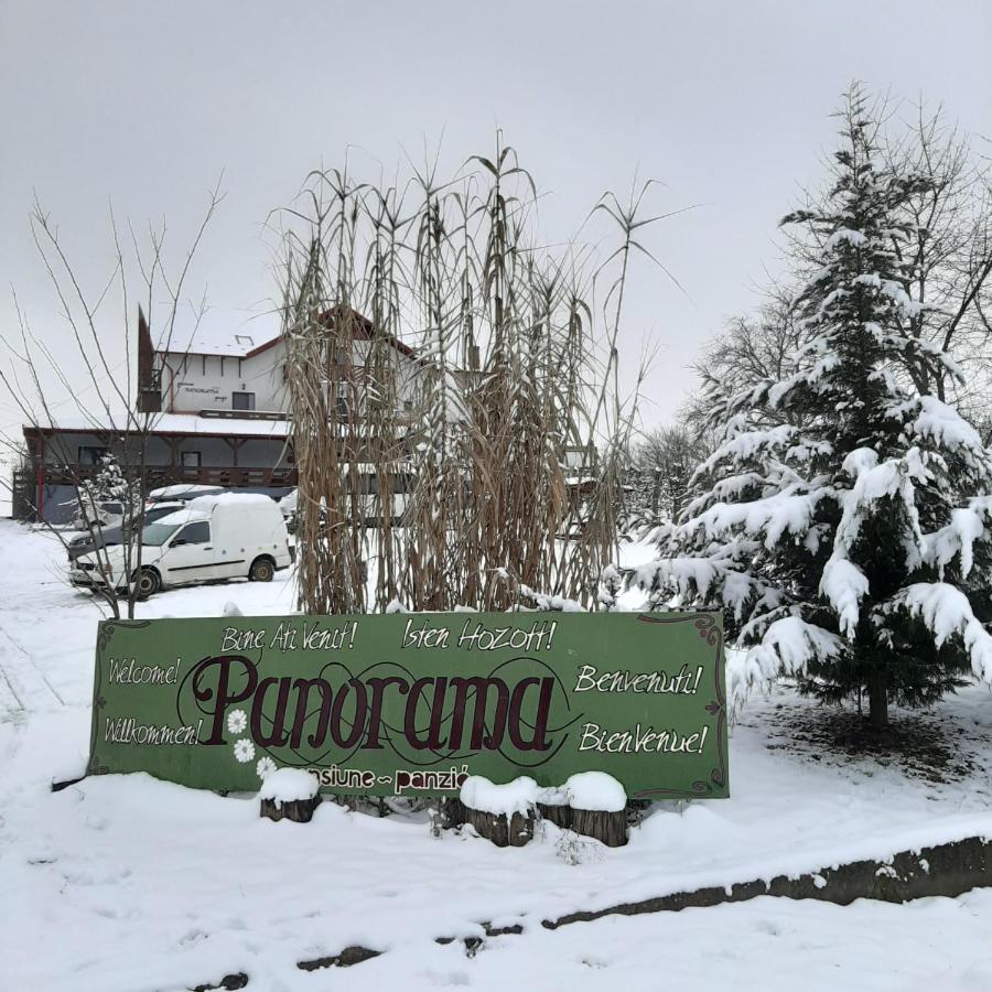 Panorama Cehu Silvaniei Exteriör bild