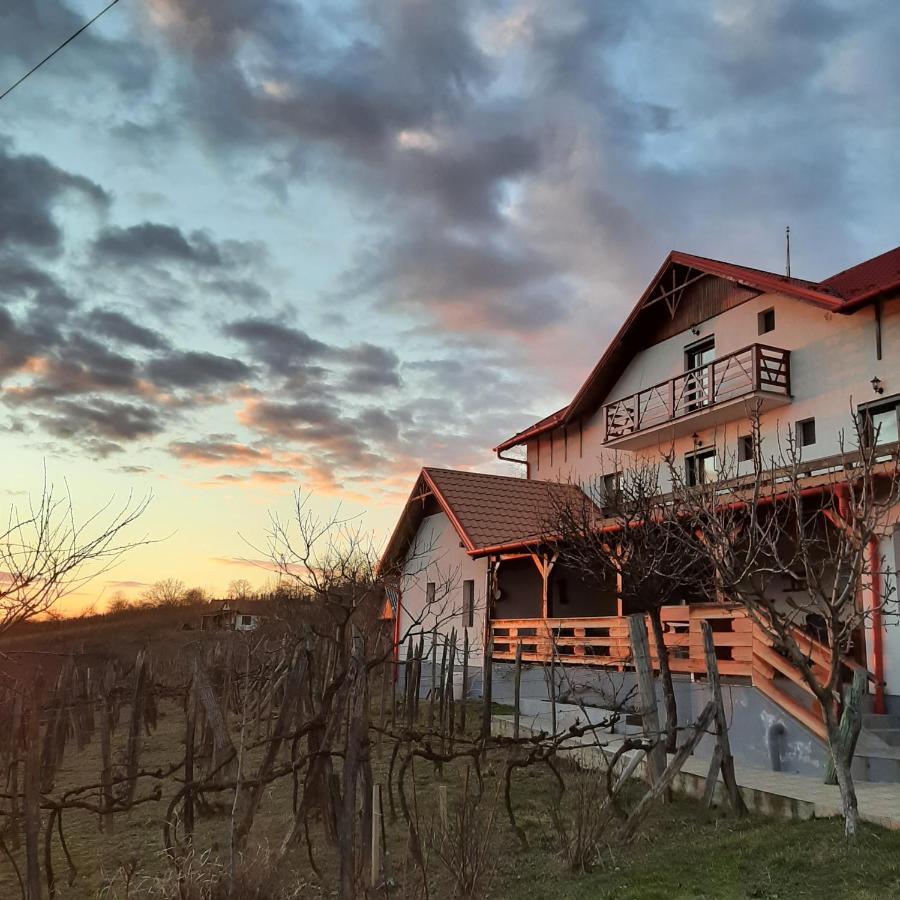 Panorama Cehu Silvaniei Exteriör bild