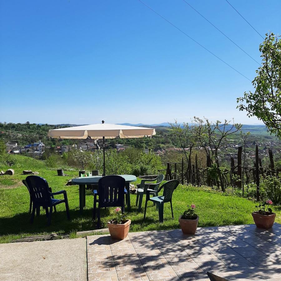 Panorama Cehu Silvaniei Exteriör bild
