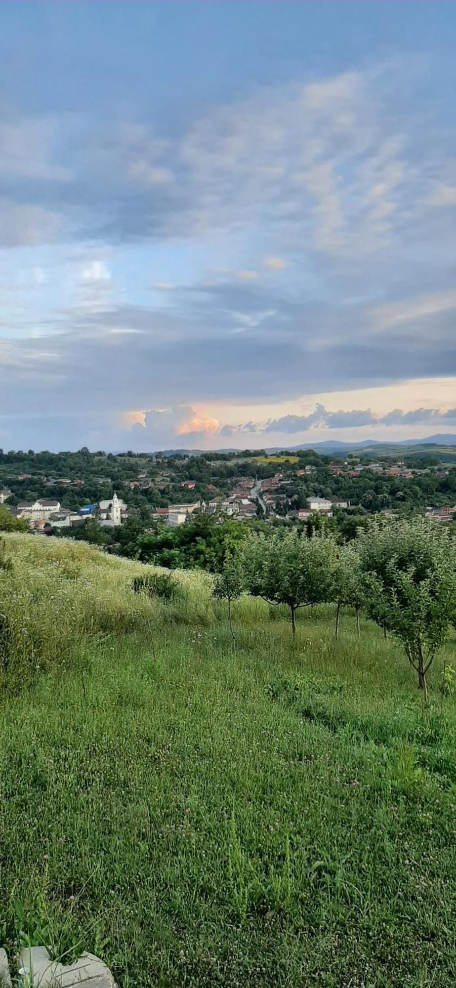 Panorama Cehu Silvaniei Rum bild
