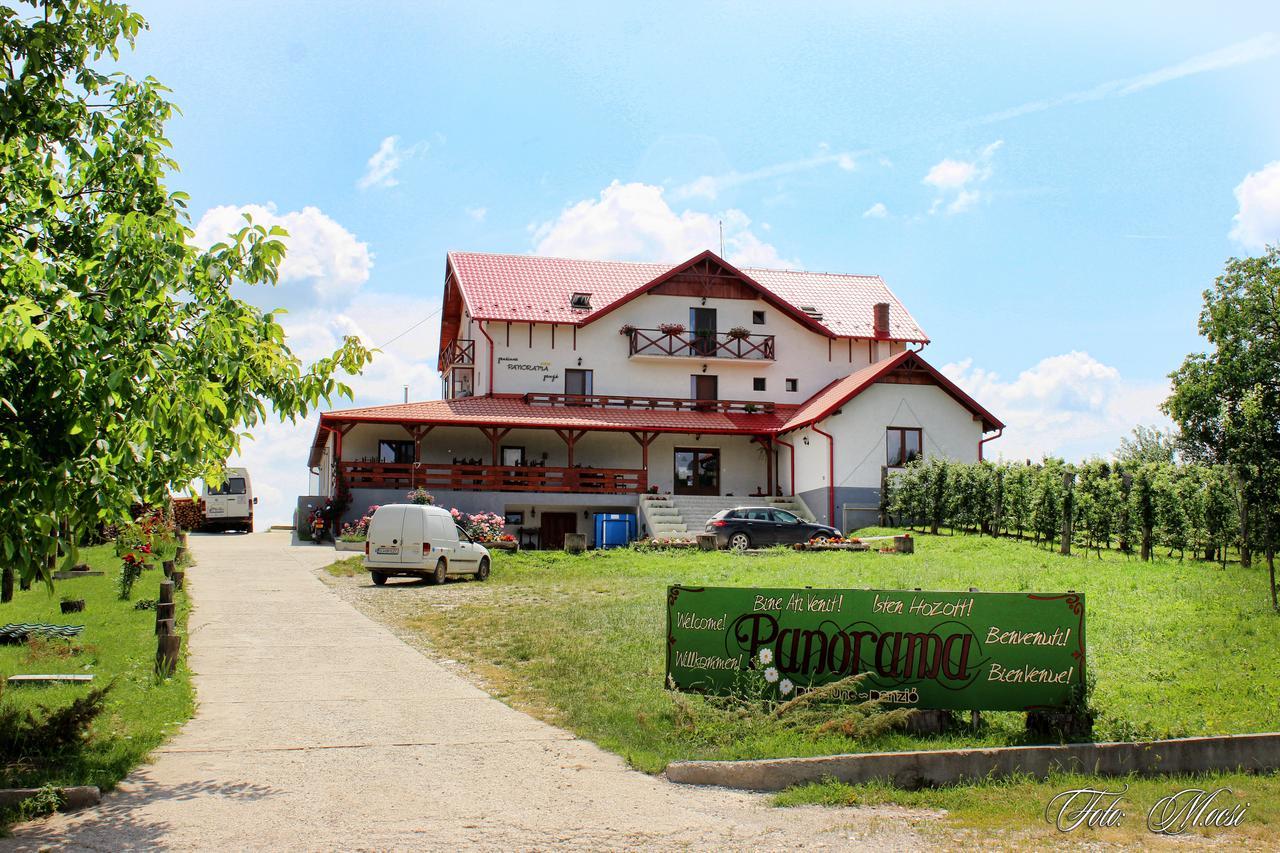 Panorama Cehu Silvaniei Exteriör bild