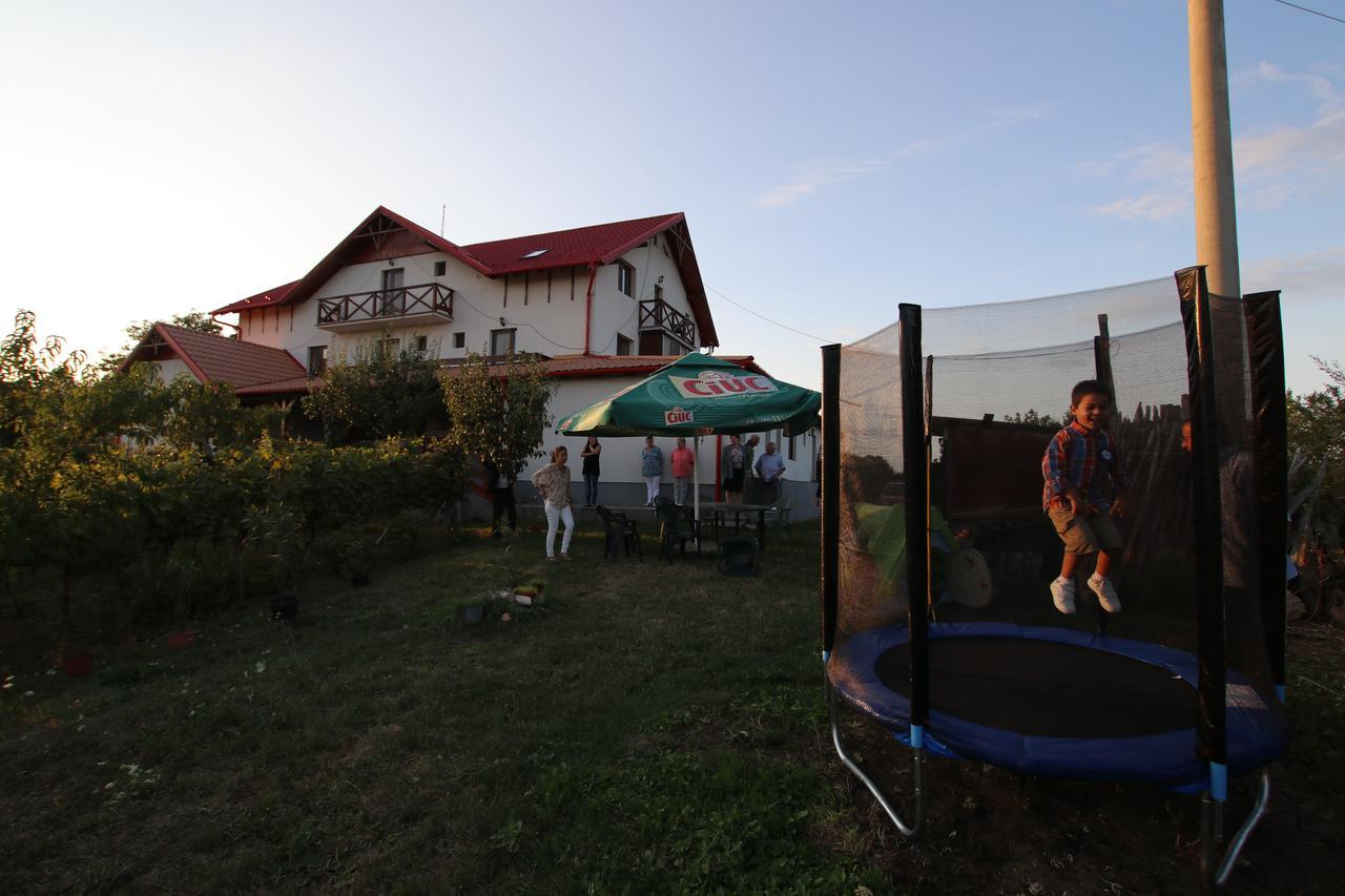 Panorama Cehu Silvaniei Exteriör bild
