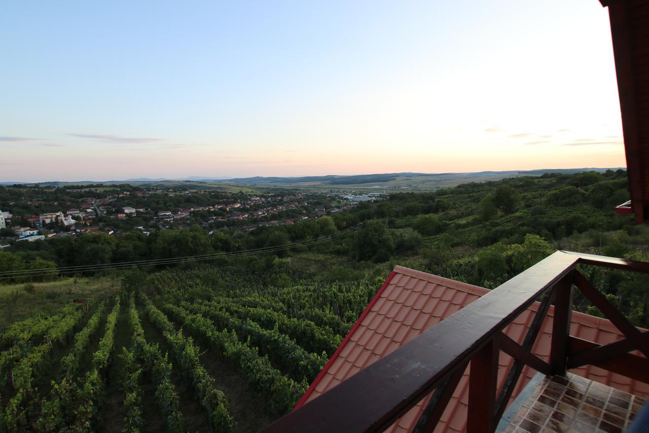 Panorama Cehu Silvaniei Exteriör bild