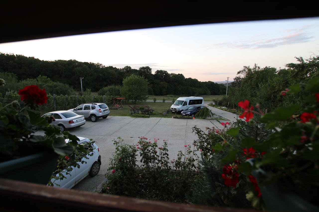 Panorama Cehu Silvaniei Exteriör bild